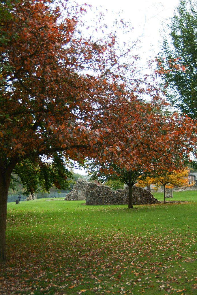 Abbey Gardens. Bury St Edmunds, Suffolk, England by digitography