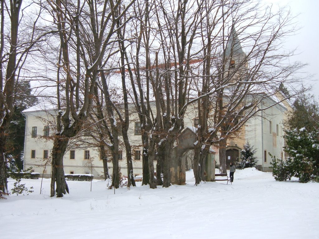 Castle Oršić by Beetle&Castles