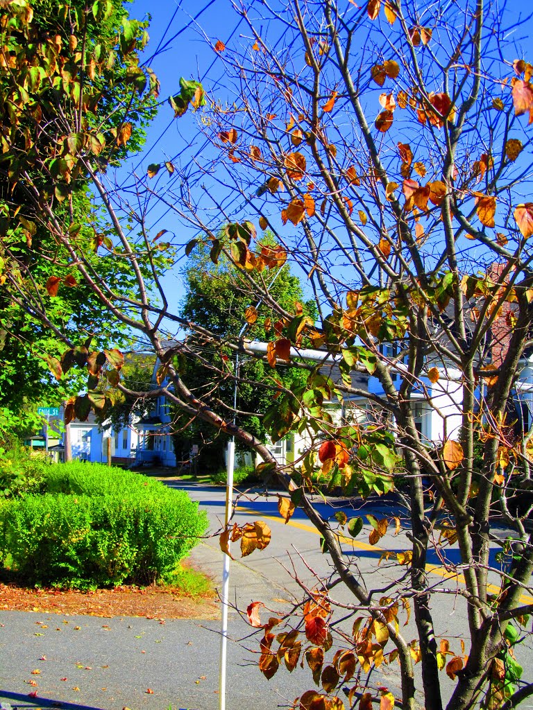 Gage St, Augusta, Maine by MementoMori