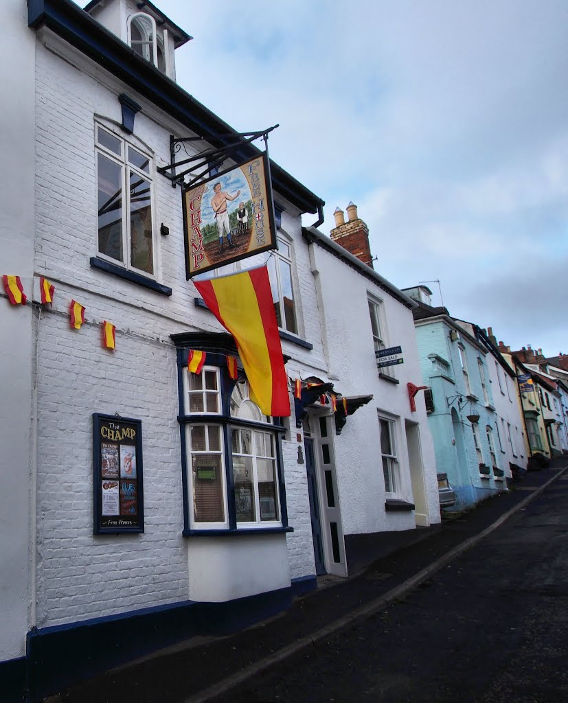 The Champ Appledore by Tim Gardner