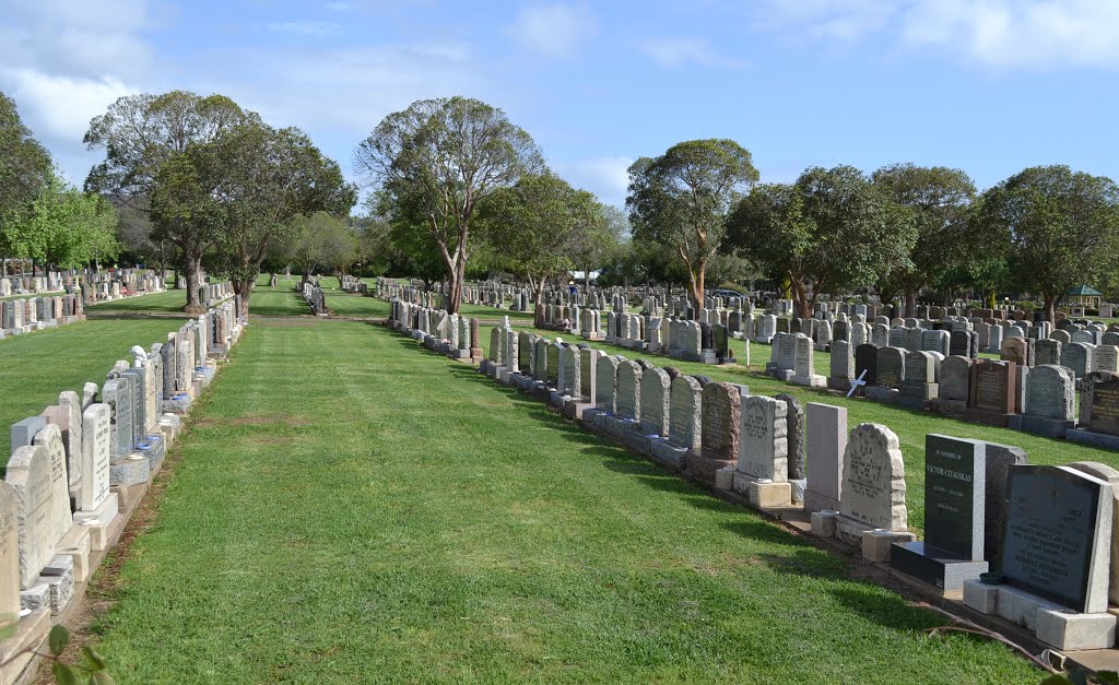 Lawn sites with early headstones by Phaedrus Fleurieu