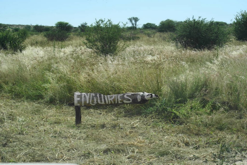 Ngamiland East, Botswana by David Udbjorg