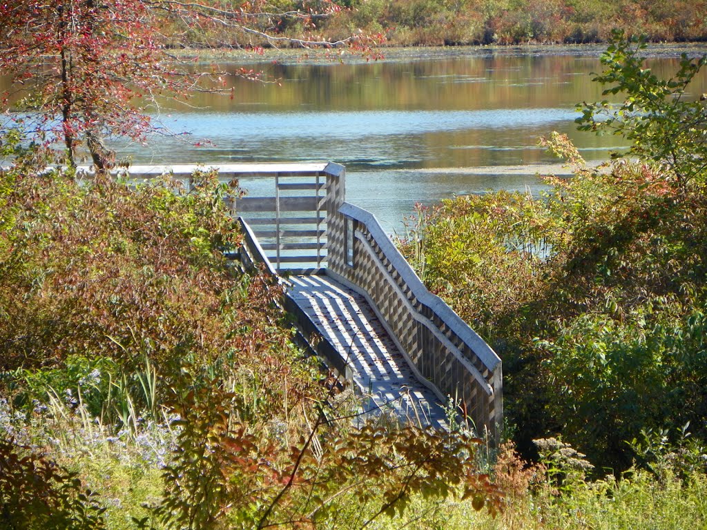 Viewing platform at Lake Kelso at Burton Wetlands Nature Preserve by David Kennat