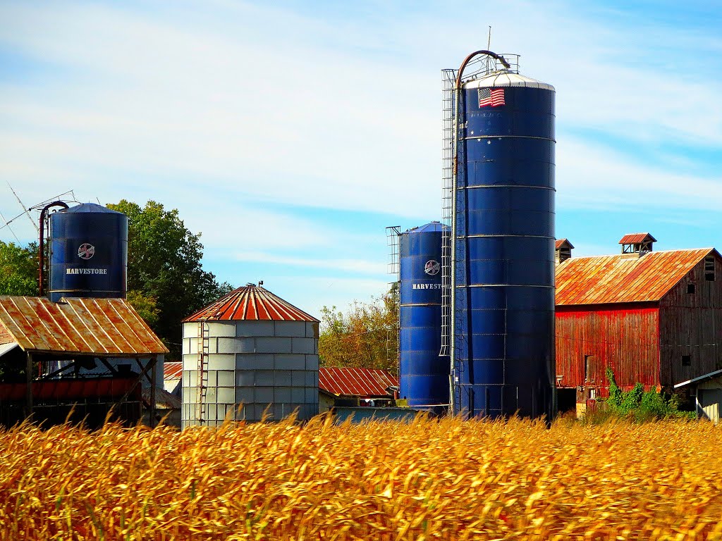 Three Harvestore® Silos by Corey Coyle