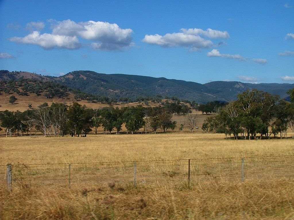 Pine forests on the hills east of Nundle by EcologistGreg