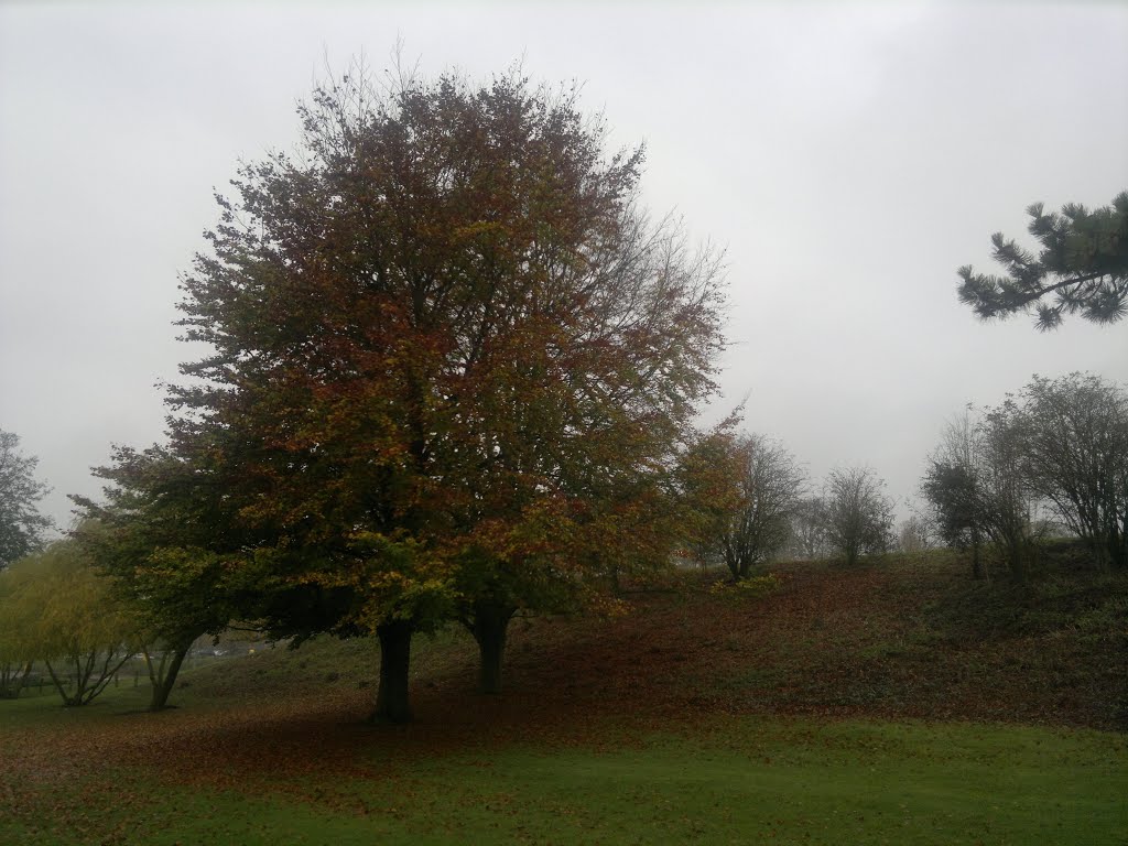 Basingstoke, Hampshire, UK by Michael Boks