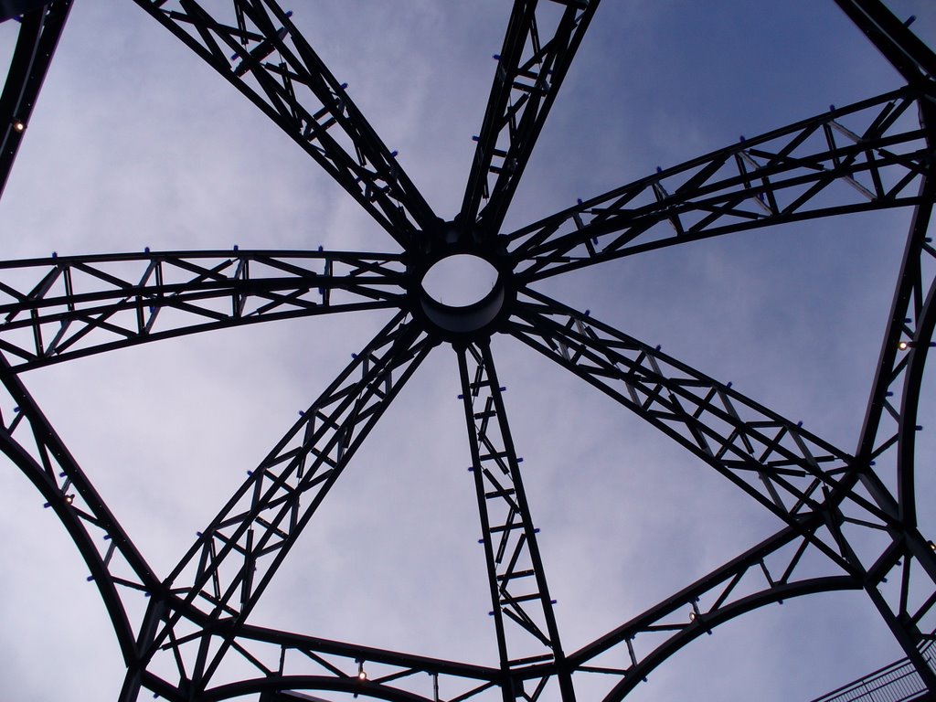 Looking Up at the LF Rotunda From The Bottom by njmeadowlanders