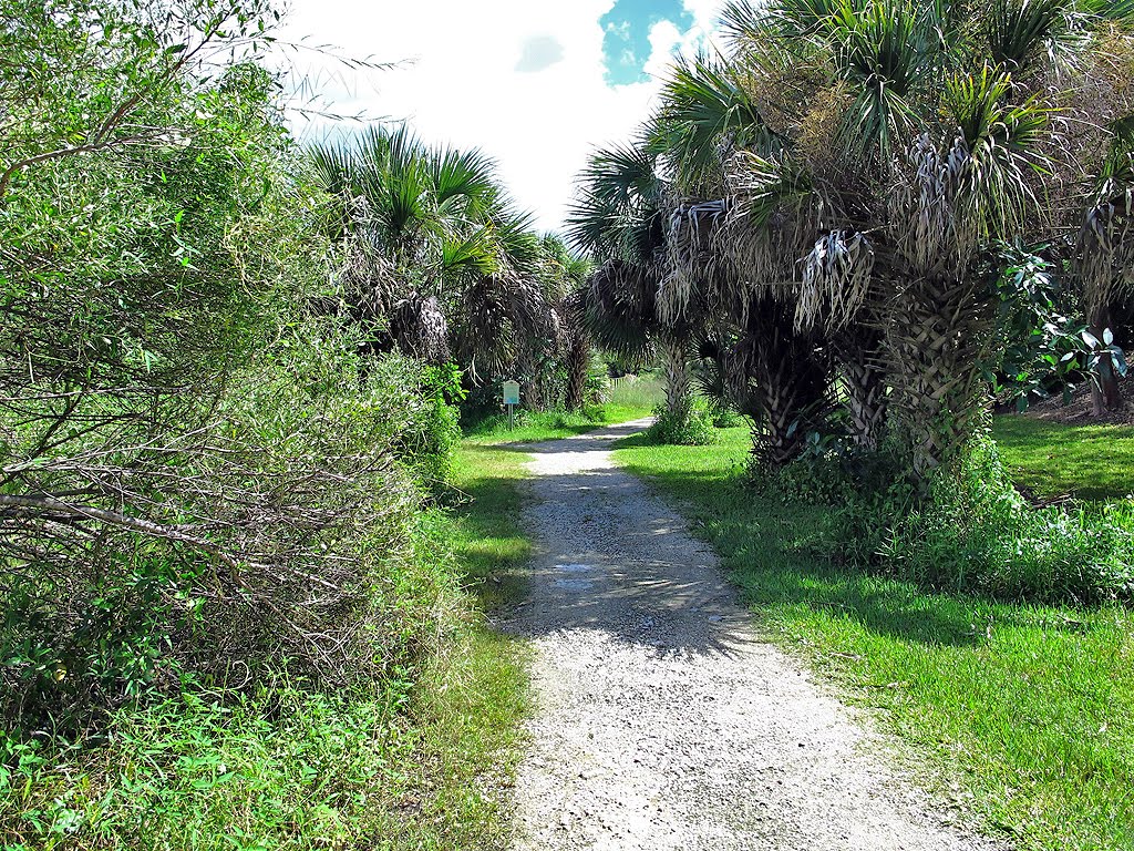 Heritage Trail Through Some Palms by Tom Choma