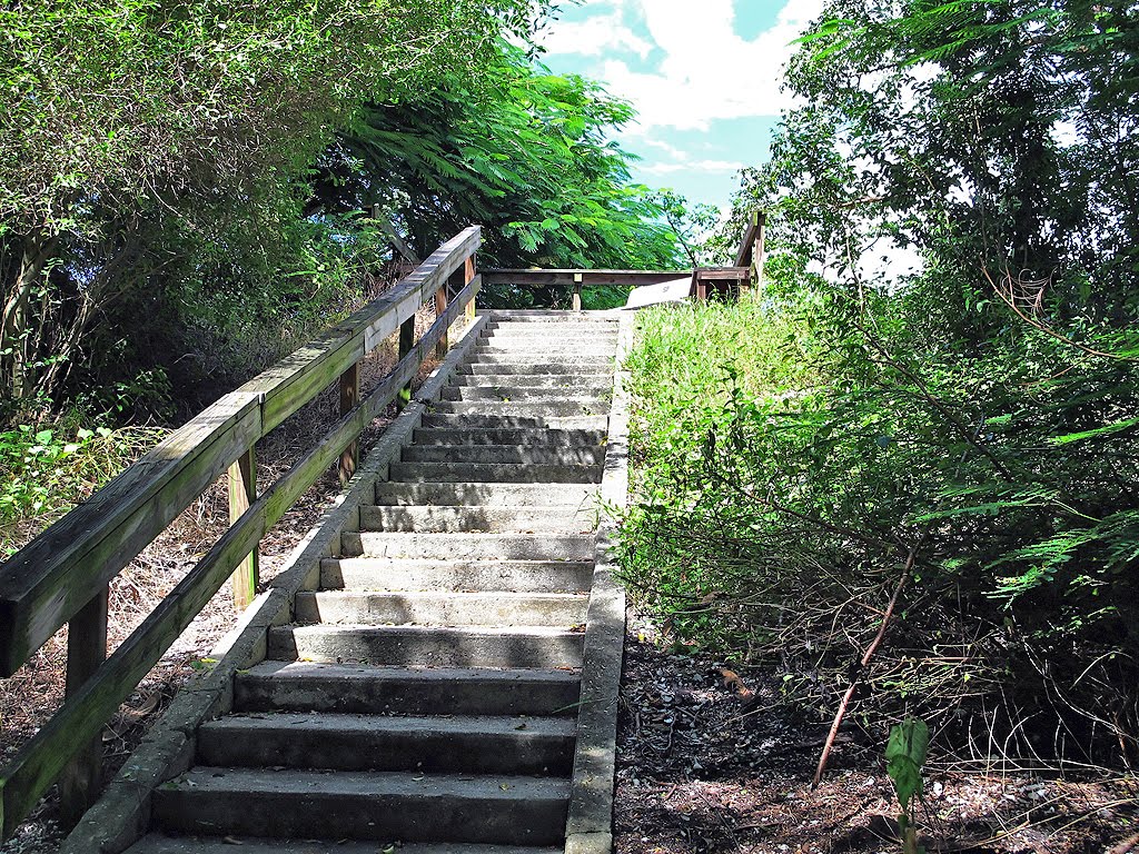 Stairway Up To Brown's Mound by Tom Choma