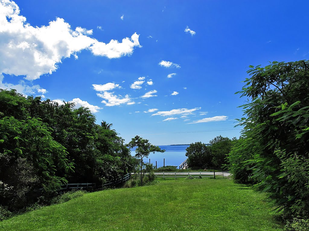 View Of Bay From Calusa Indian Mound by Tom Choma