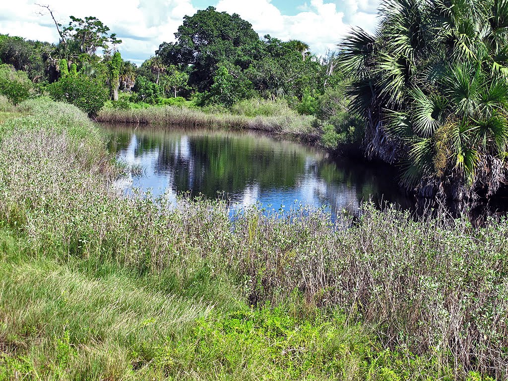 Calusa Indian Made Canal by Tom Choma