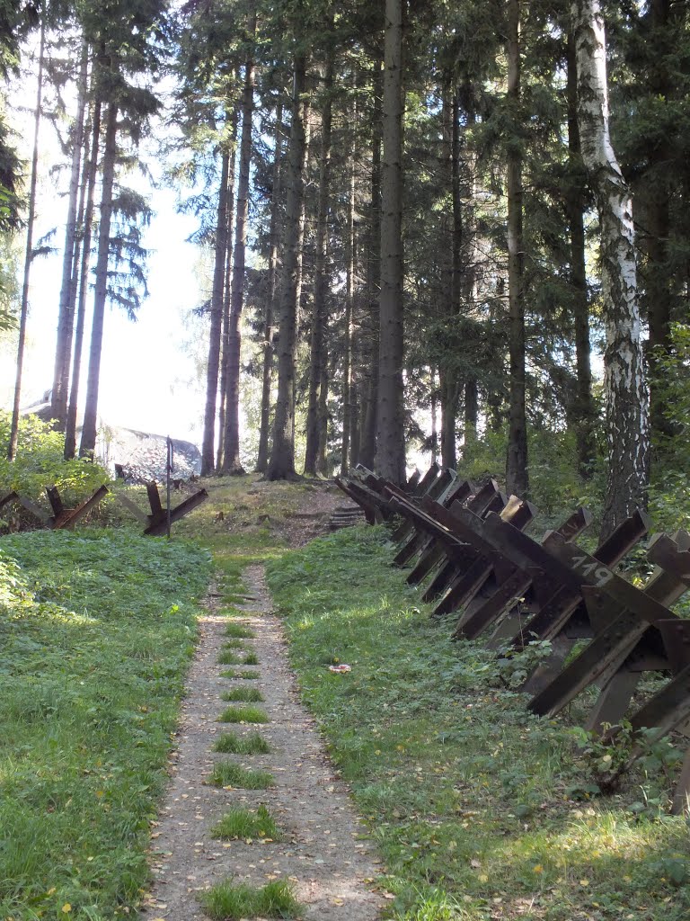 Line of the Czech hedgehogs / Řada ocelových rozsocháčů by DM brothers