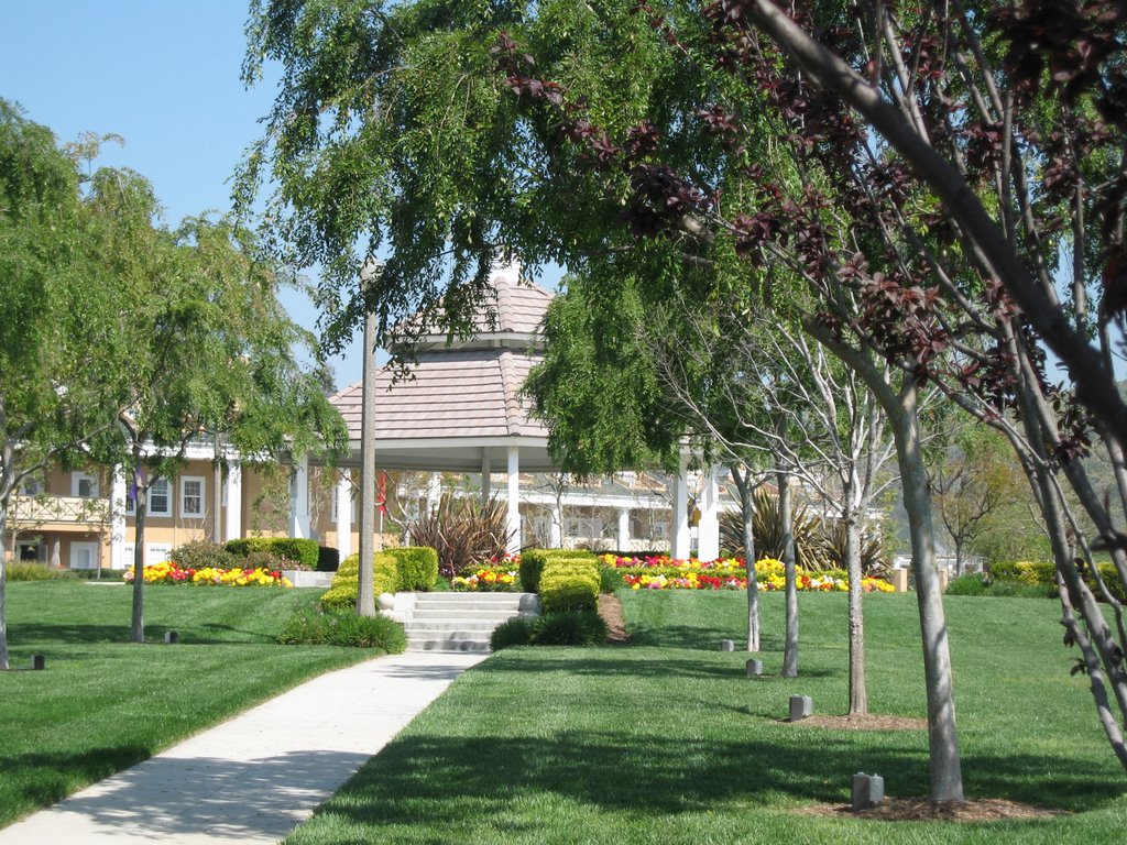 Spring at Town Green, Ladera Ranch by Cheral