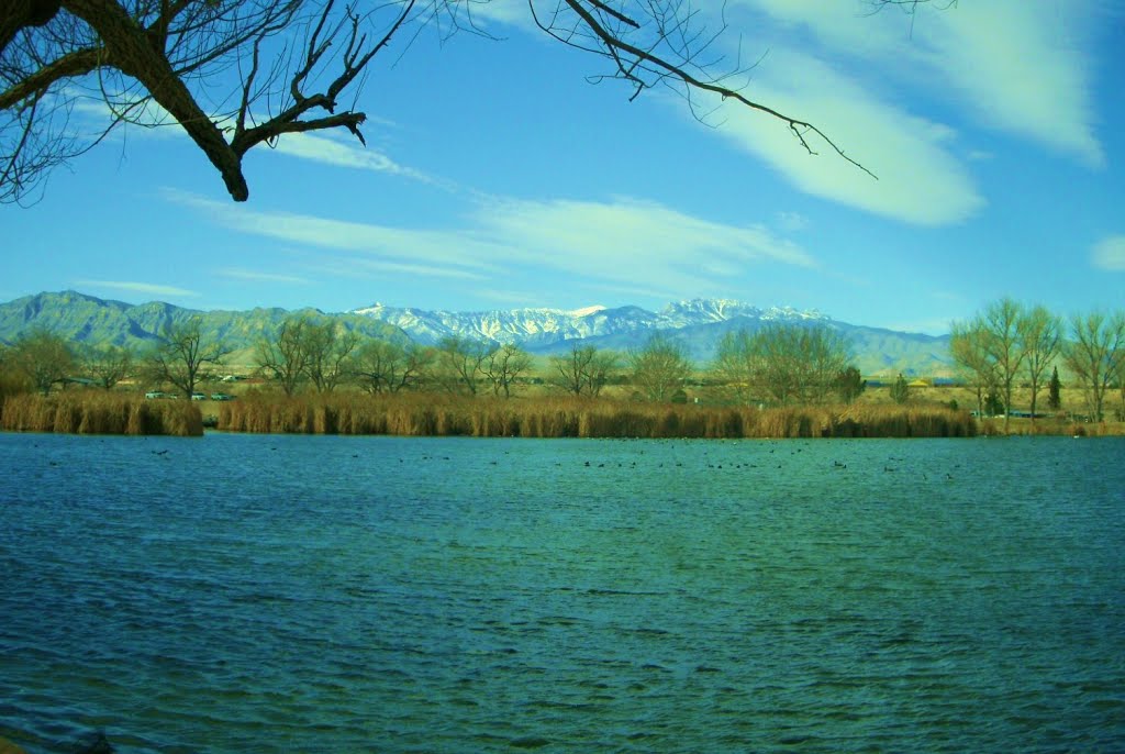 Floyd Lamb State Park, Las Vegas, Clark County Nevada by Geogo