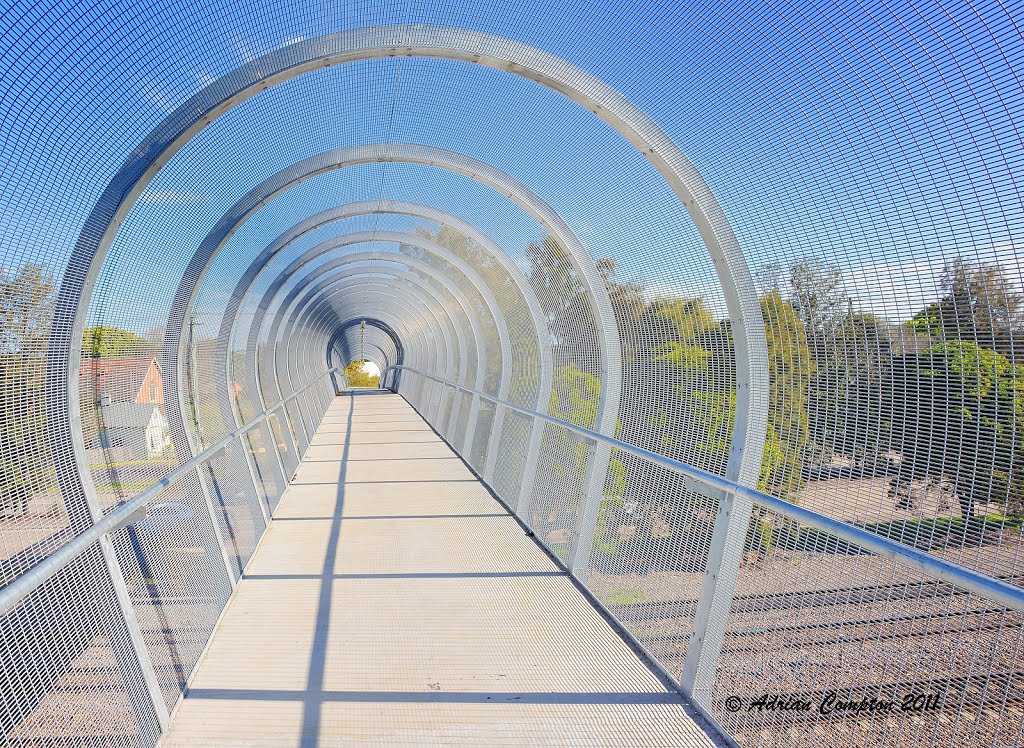 New covered footbridge over tracks at Maitland, NSW. 4 Sept. 2011. by Adrian Compton