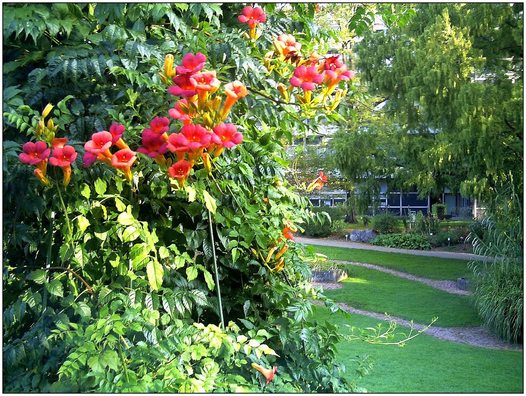 October The Hunt of Red October - Master Botany Photography 2013 Botanischer Garten Freiburg Germany by jettcom