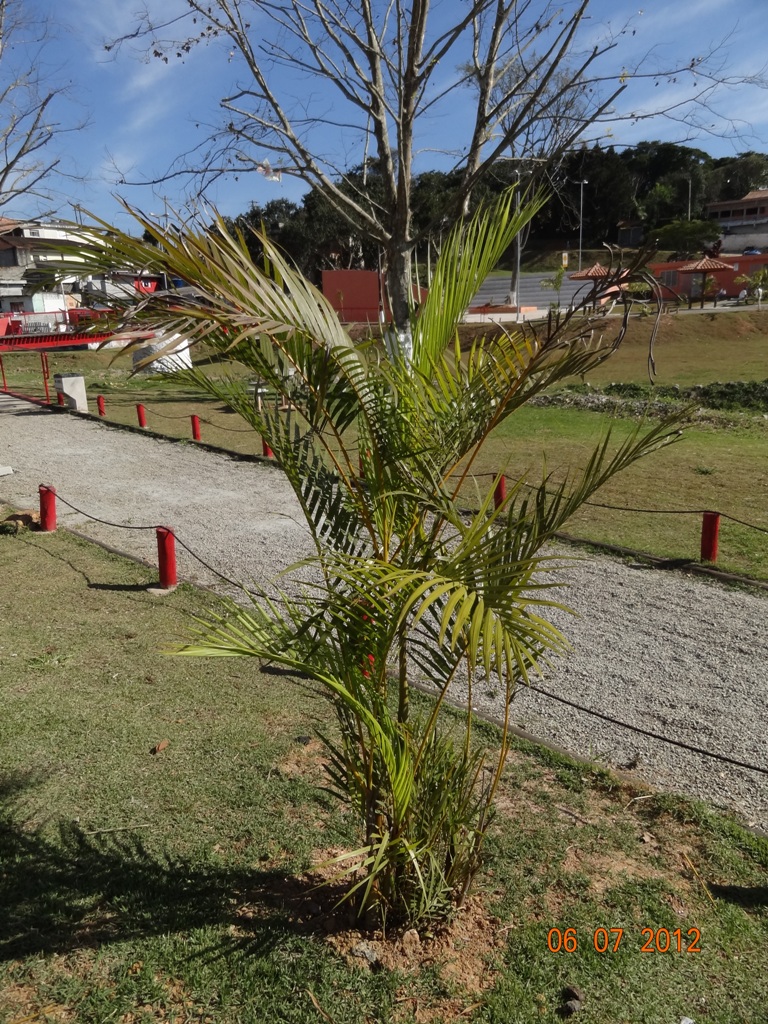 Àrea de Lazer,Jardim Boa Vista,Embu-Guaçu,Grande SP by Lro_30