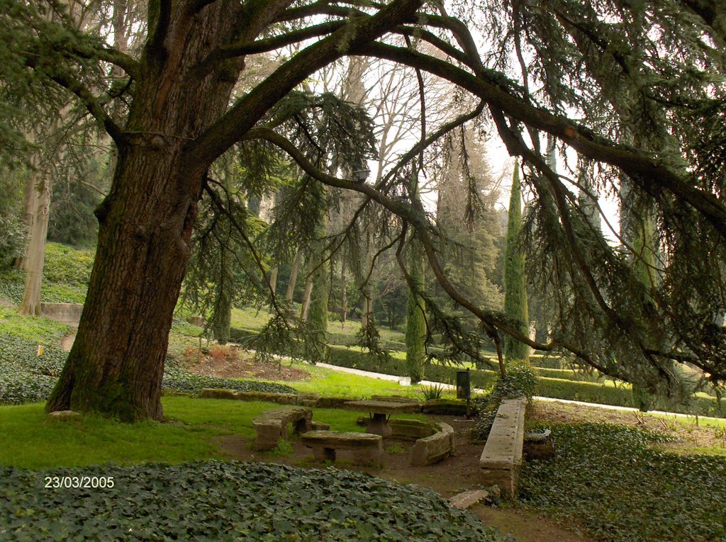 Verona - Giardino Giusti by Jefferson Hyppolito