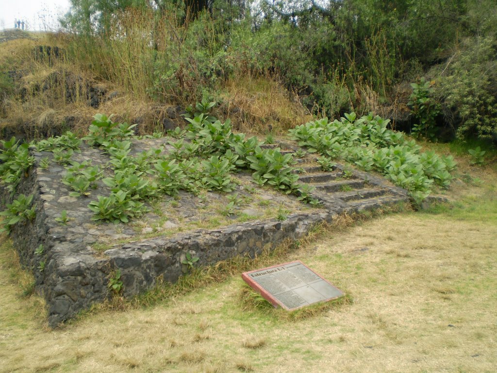 Piramide descubierta bajo piedra volcanica del Xitle by Luis F. Castelán