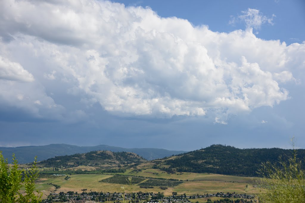 Vernon Storm by jackborno