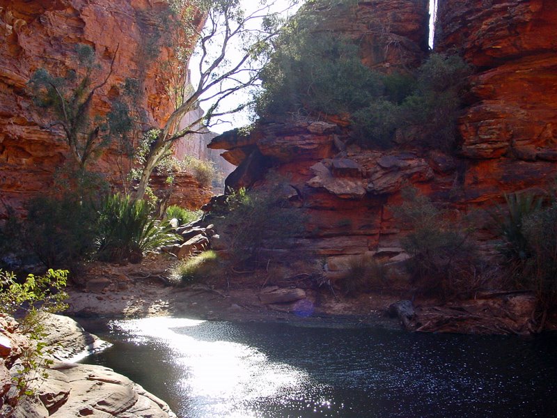 Kings Canyon, water hole by Banja-Frans Mulder