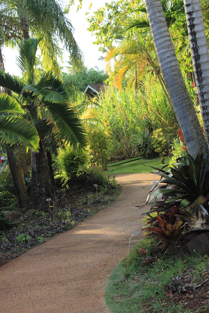 Botanical Gardens Kauai, Hawaii by Mariamichelle117