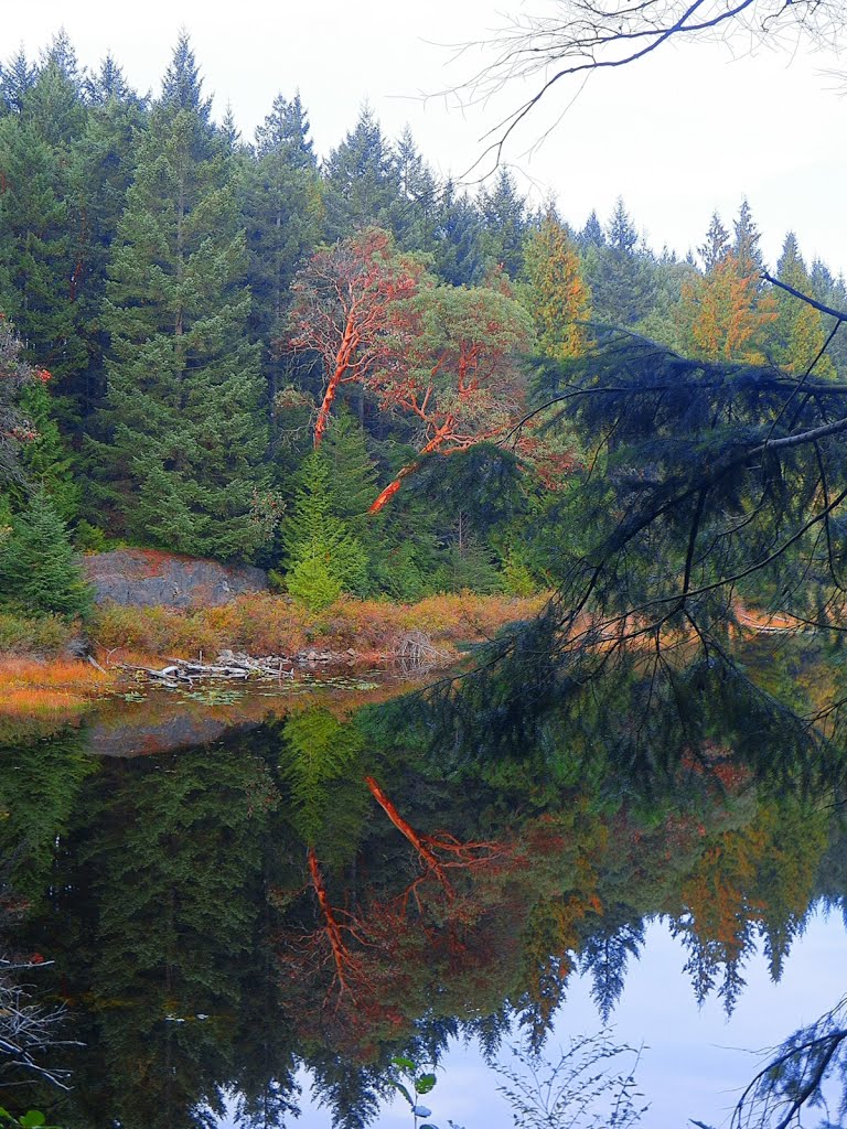 Lost Lake Trails by WManners