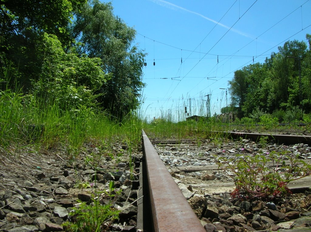 An der Bahnlinie nach München by baindl