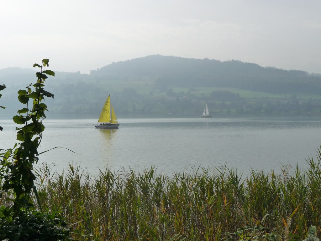 Oktoberstimmung am Hallwilersee by bienenritter