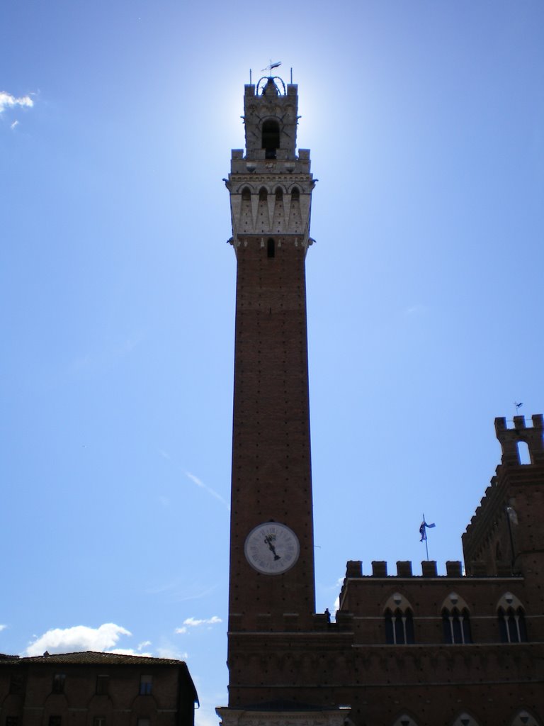 Torre del Mangia, Piazza del Campo, Siena by Francesco Babboni