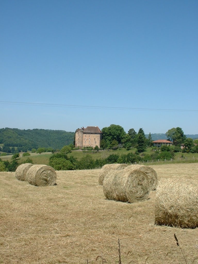 Château du Puy Launay à Linac by Yann LESELLIER