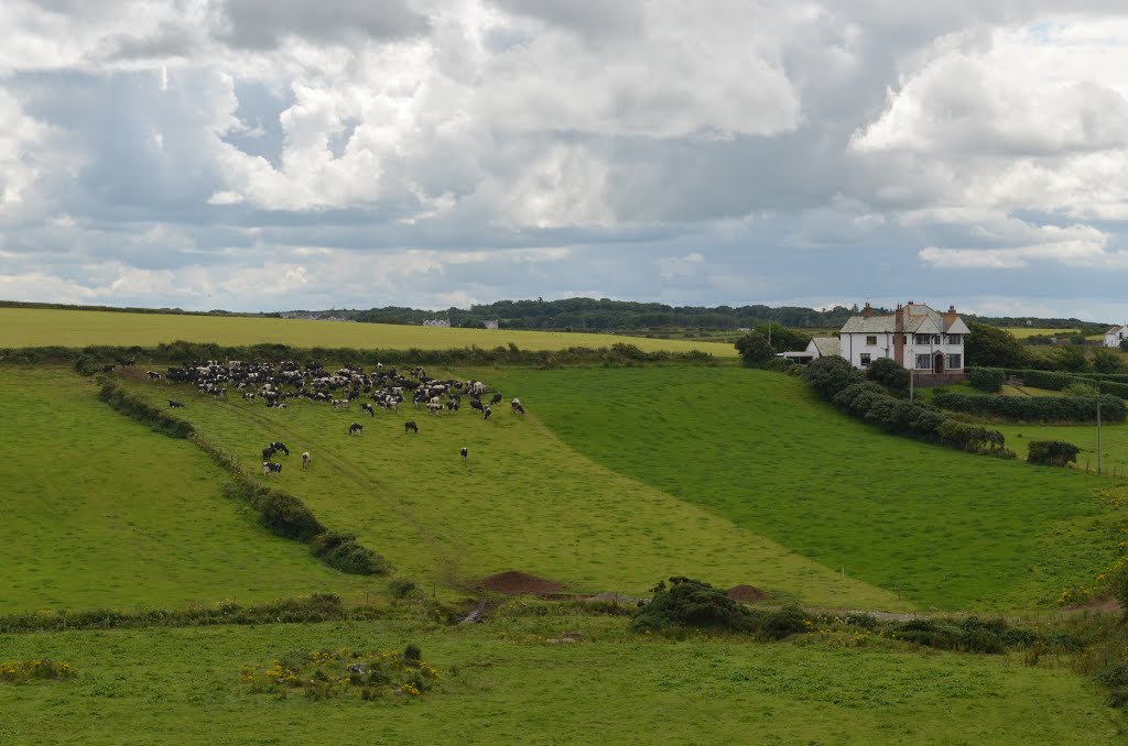 Giant's Causeway, Irish Rural Landscape by Alexander Prolygin