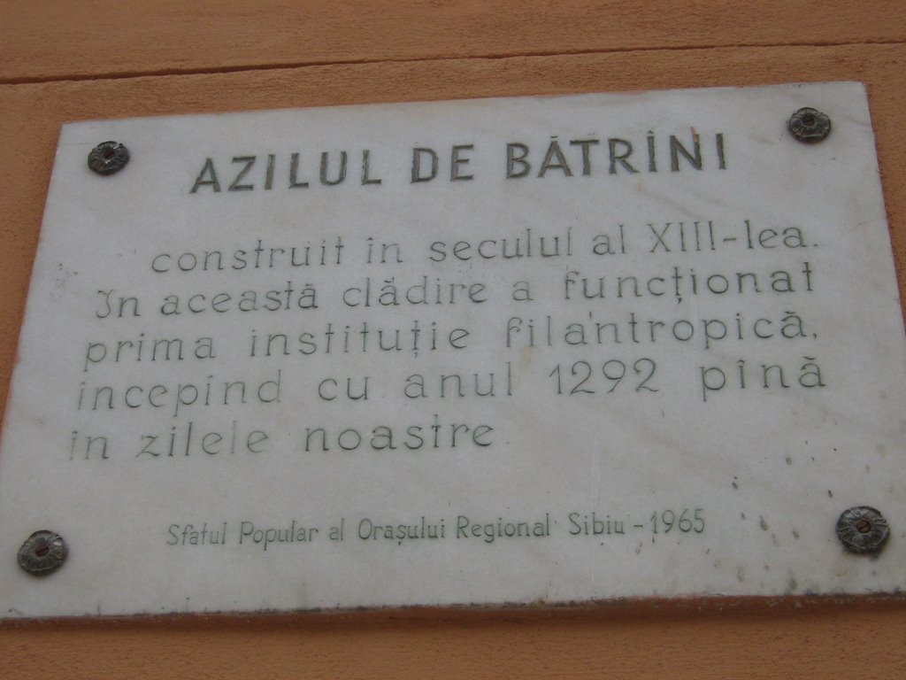 Azilul de batrani by Niki Ene