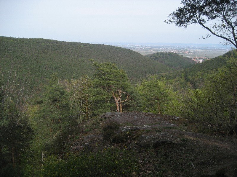 Bräuninger Felsen by StefanL.