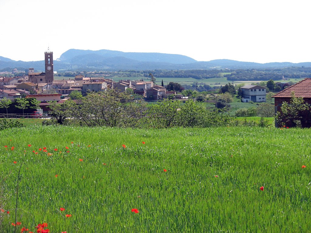 Vista general de Montagut by Miquel Bataller i Fàbregas