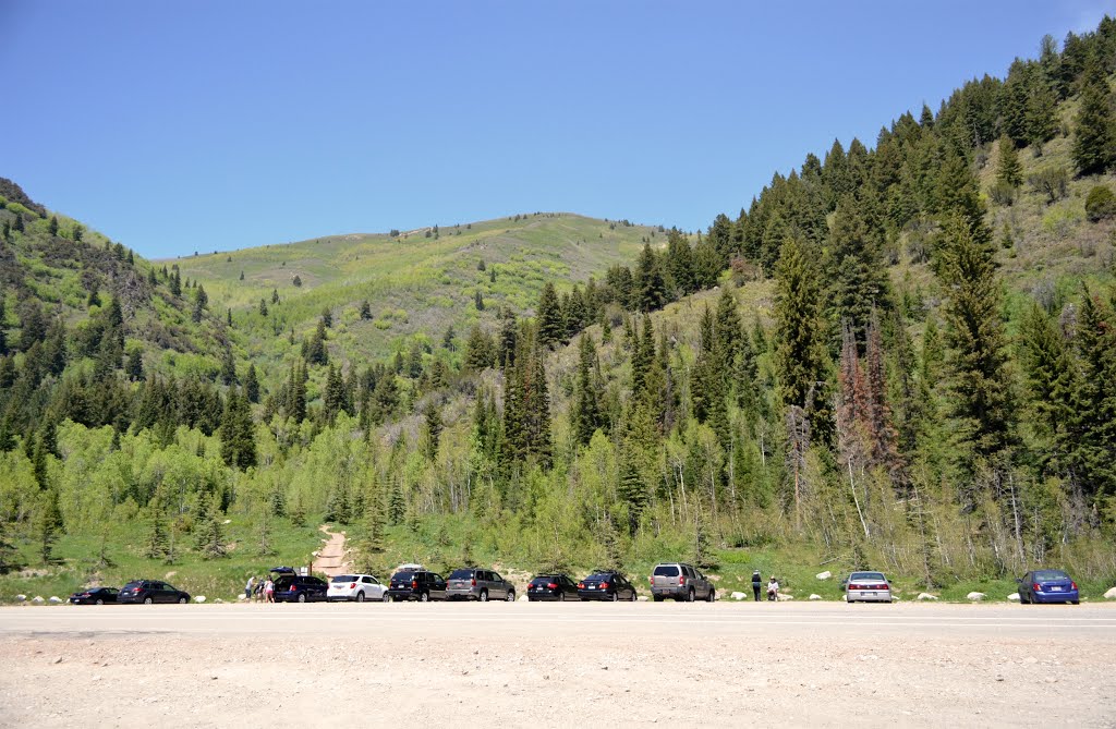 Guardsman's Pass Drive, UT - June 2013 1043 by Nick63