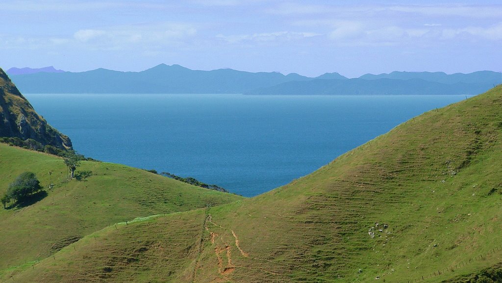 Great Barrier Island, New Zealand by Dave Corban