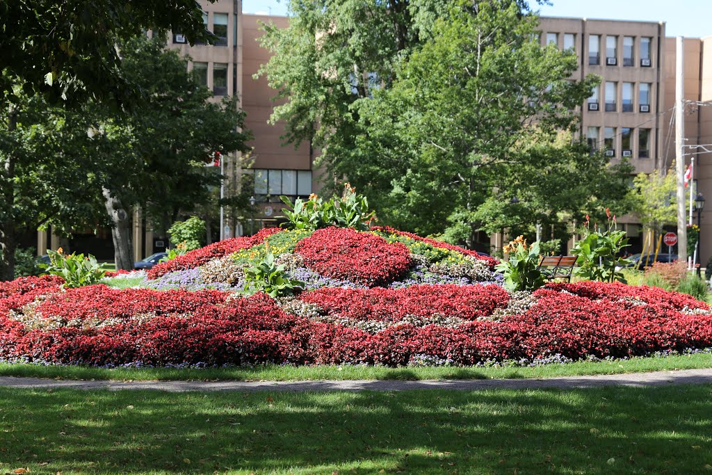 Charlottetown by bryanf