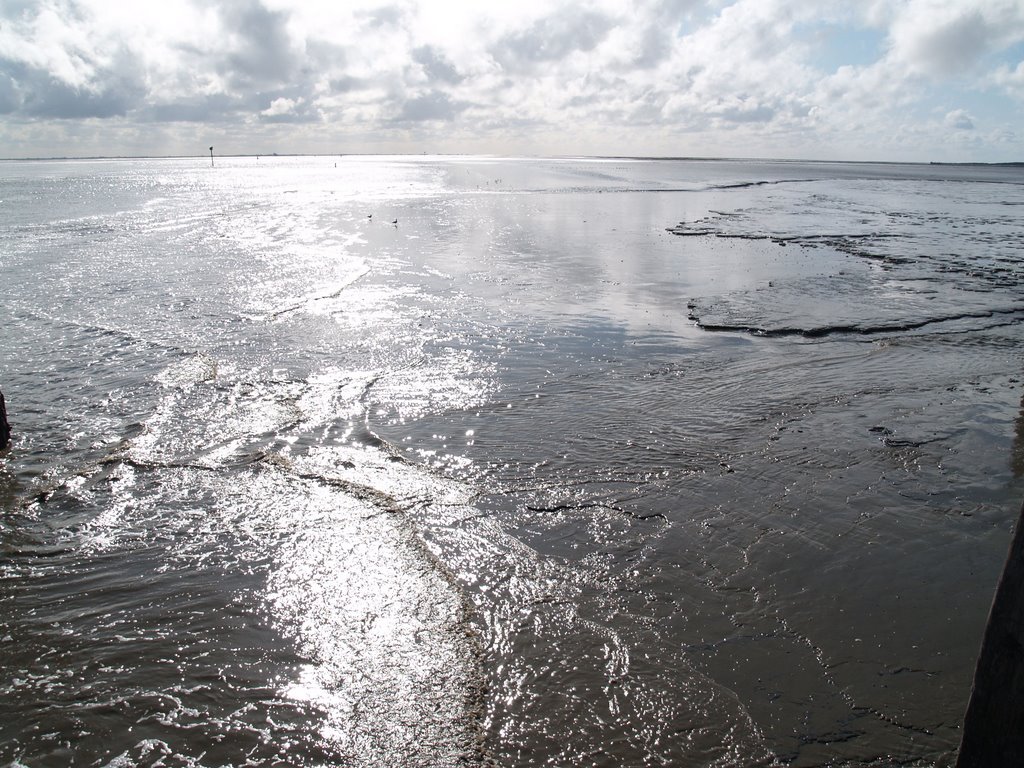 Schiermonnikoog bij Eb by Frank Koning