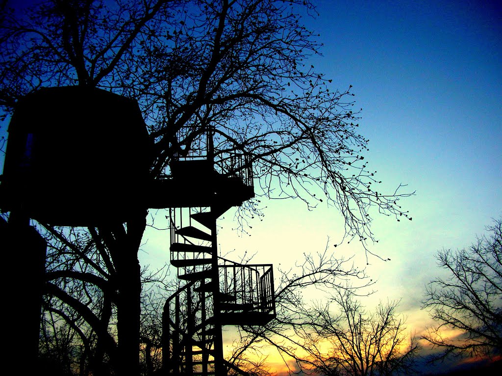 Tree house, sunset & shadows by Chayanika_S