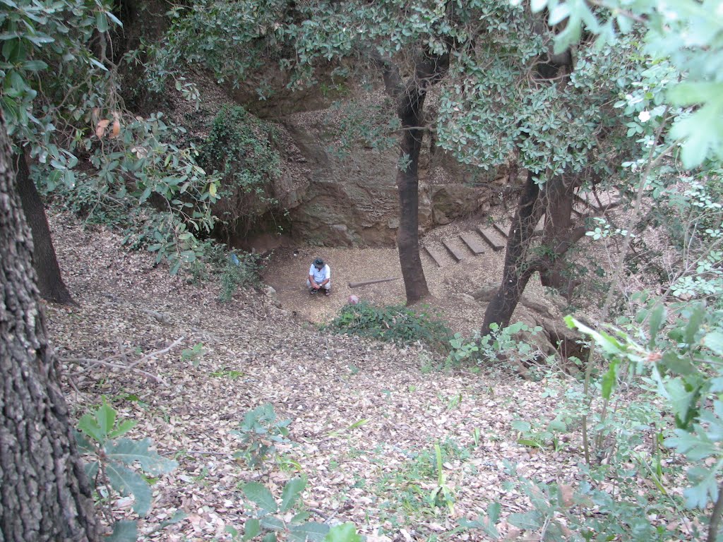 Sasa, Pa'ar Cave, Israel by Kobi Zilberstein