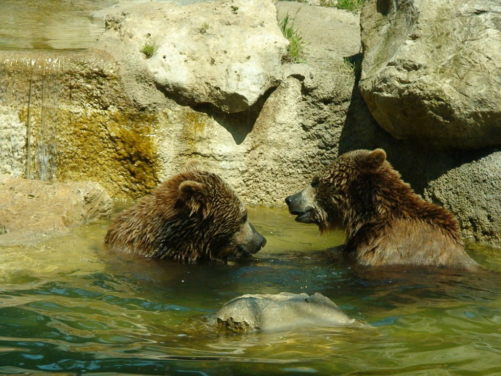 Bioparco by asserac