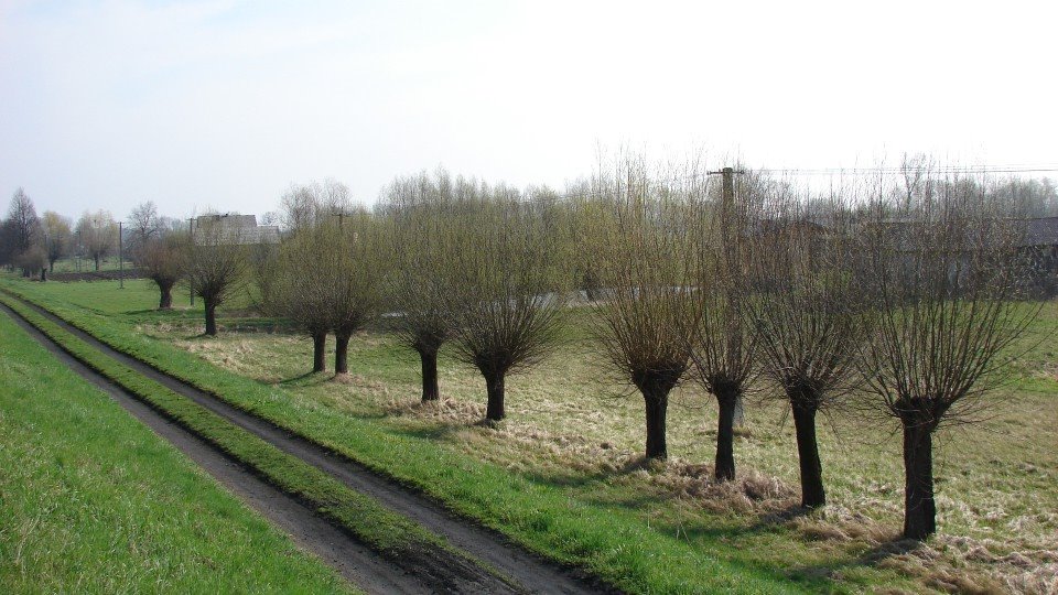 Gmina Leoncin, Poland by pycior.foto