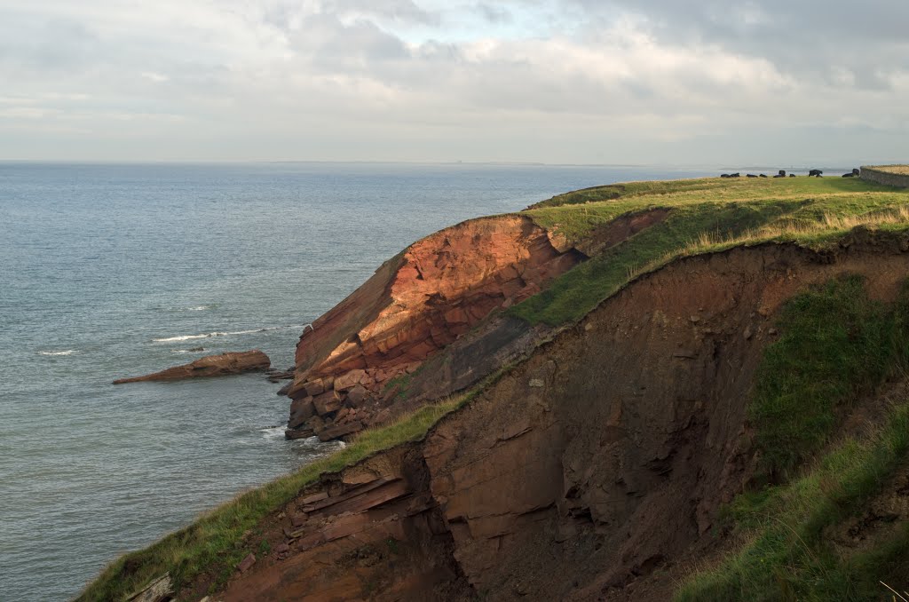 Cliffedge Looking South to Lindisfarne in the far Distance by guide paul