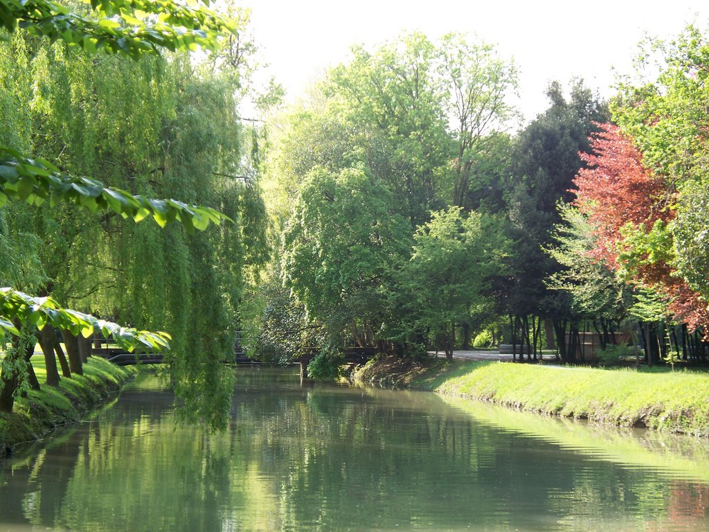 Mirano immersa nel verde, Parco Belvedere by 2named