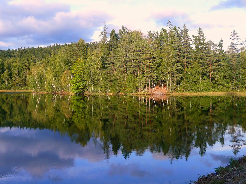 FJÄLLSJÖN I ALINGSÅS,SWEDEN 2013 by Despina Mousafiri