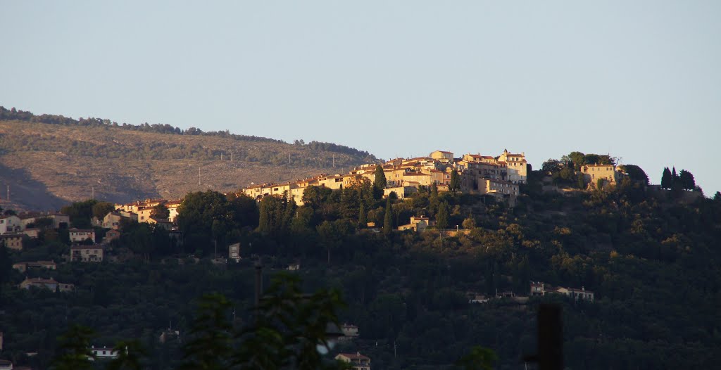 Cabris im Abendlicht by Jochentour.de