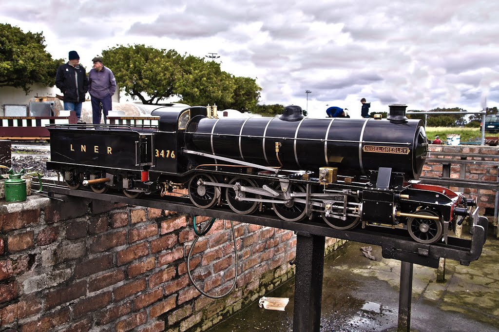 Western province live steamers by Troy Goldie