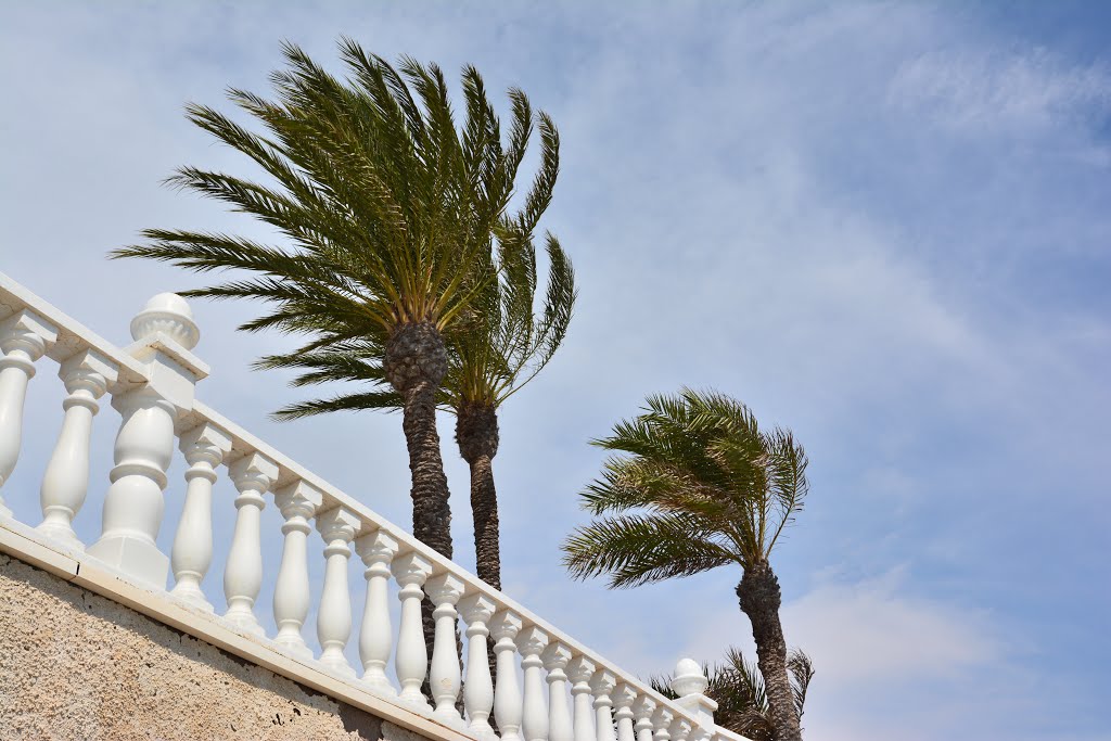 Orihuela, Provinz Alicante, Spanien by Norbert Kurpiers