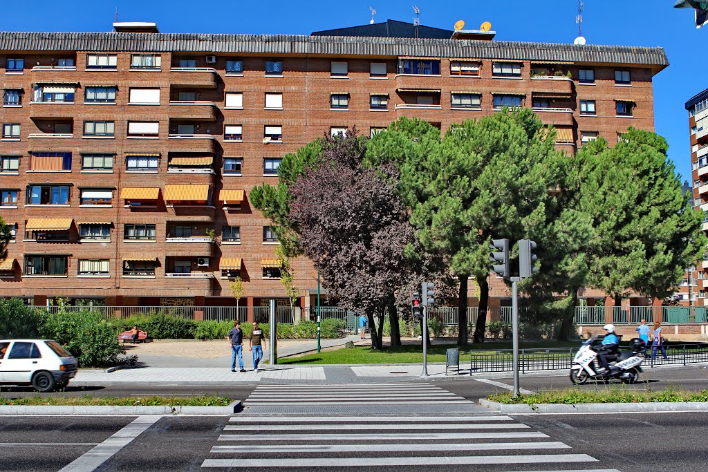 Avenida de Salamanca by RA Melgar